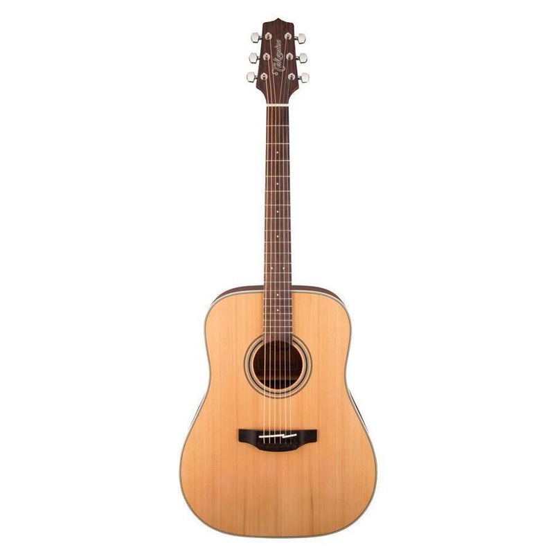 Takamine GD20NS Acoustic Guitar