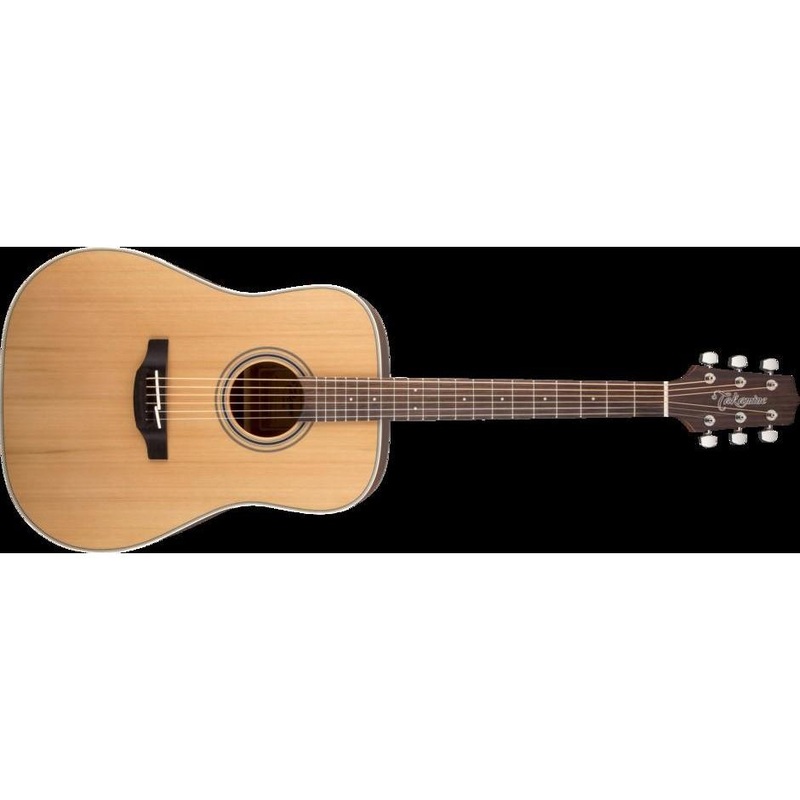 Takamine GD20-NS G-Series Acoustic Guitar-Satin Natural