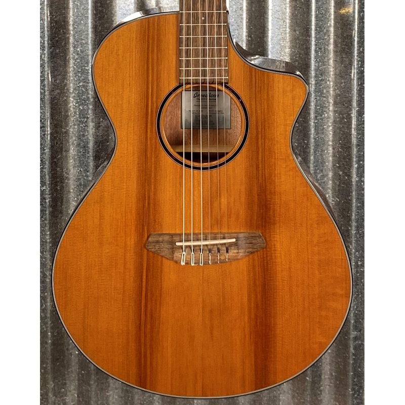 Breedlove Discovery S Concert Nylon CE Cedar Acoustic Electric Guitar DSCN01NCERCAM #3094
