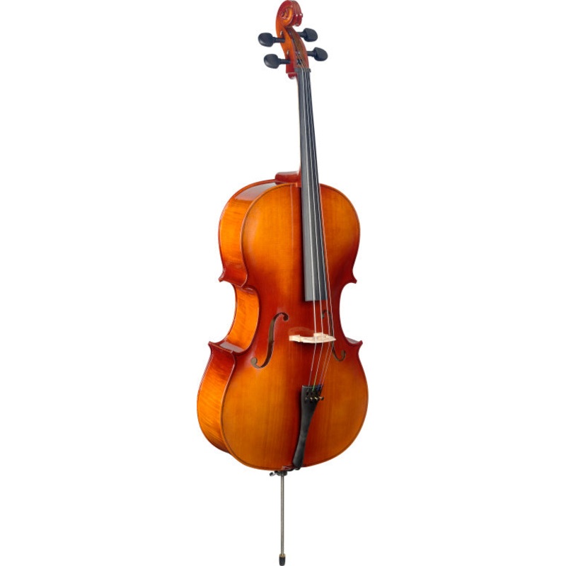 STAGG 3/4 laminated maple cello with bag