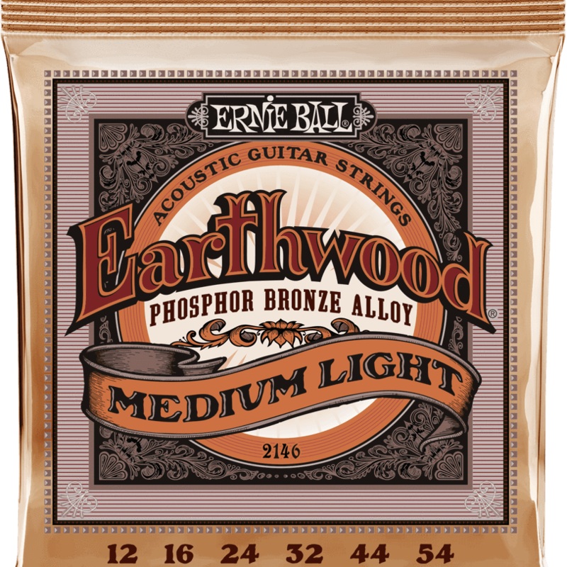 Ernie Ball Earthwood Phosphor Bronze Acoustic Guitar Strings