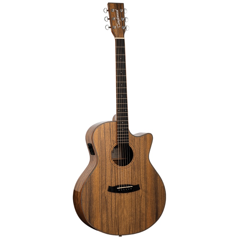 Tanglewood TW4EVCPW Winterleaf Exotic Grand Auditorium Solid Top C/E Pacific Walnut Veneer