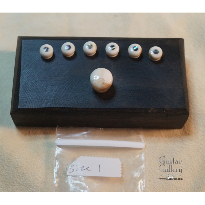 Fossilized Ivory Guitar Bridge Pins