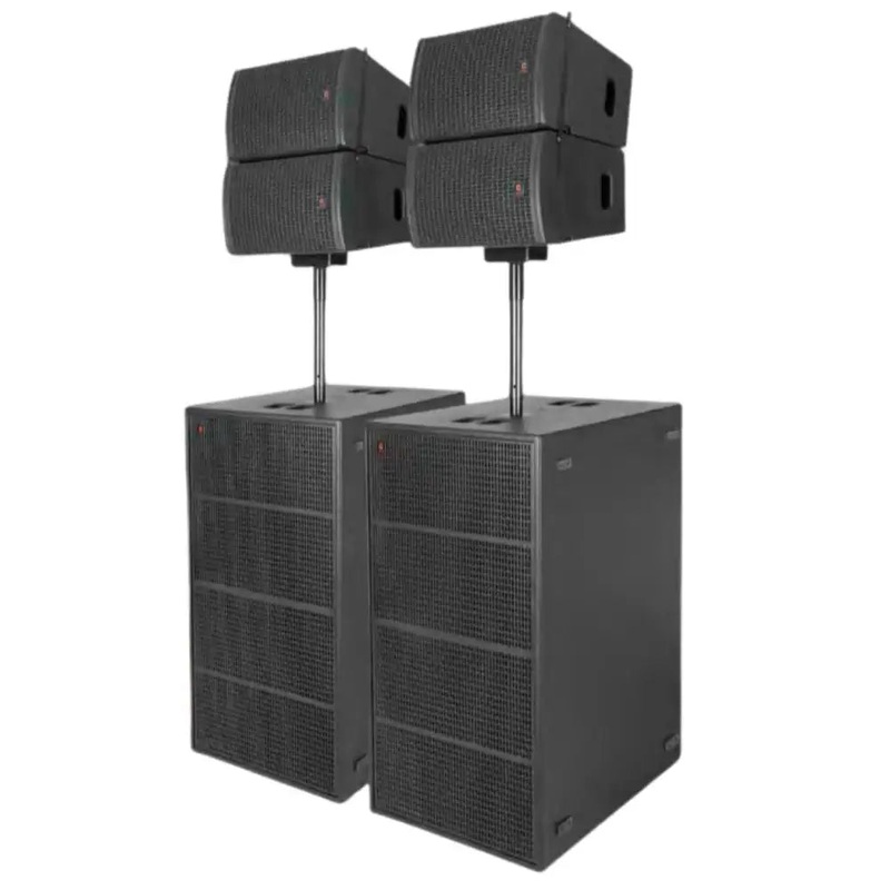 Celto Acoustique ACS10 with ACS218 Combo
