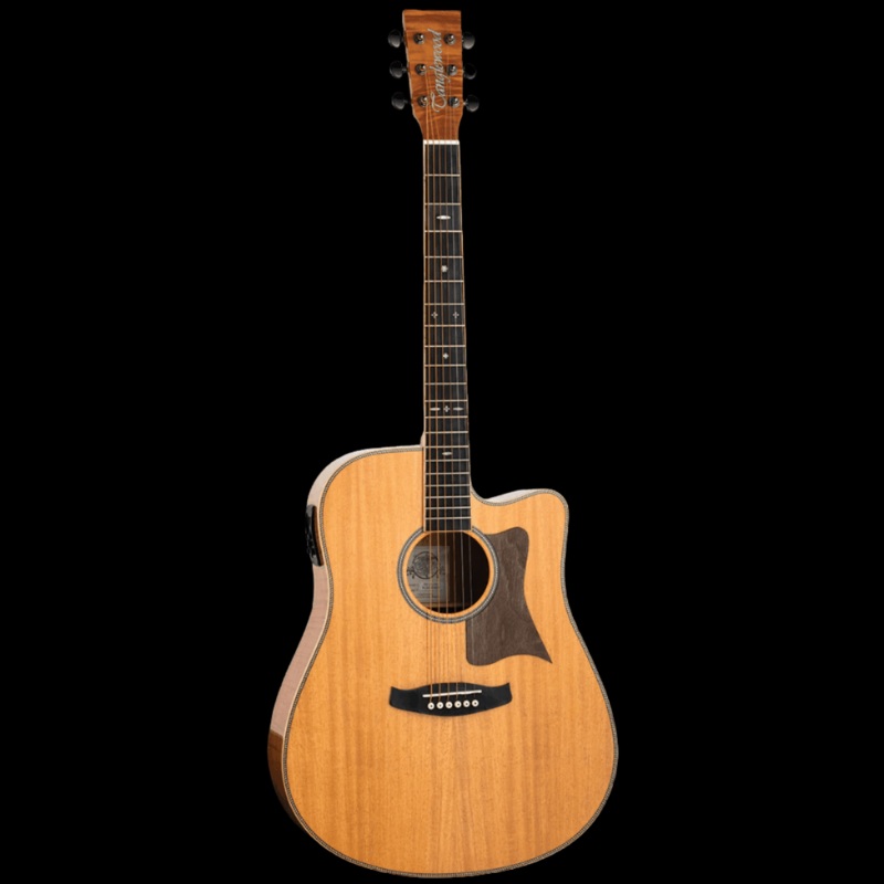 Tanglewood Reunion Pro Solid Australian Red Cedar Top Dreadnought C/E with Flame Okoume B/S TRU5-CE-FMH