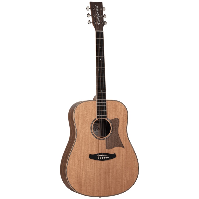 Tanglewood TRDHR Reunion Australian Red Cedar Top Dreadnought with Hawaiian Rain Wood B/S
