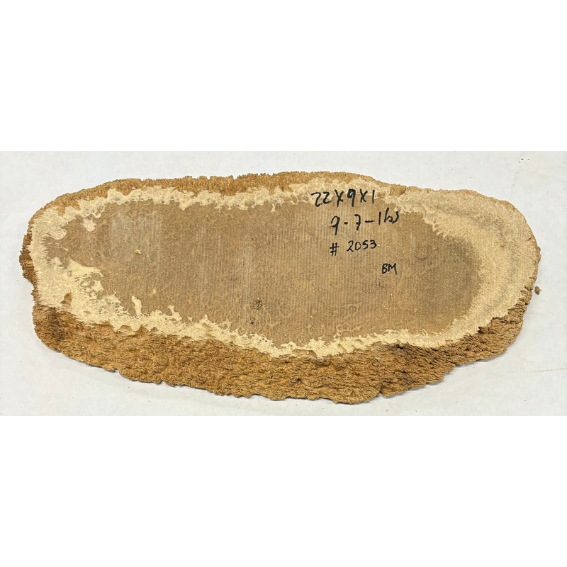Brown Mallee Burl Slice 22" x 9" x 1" 9.5 Lbs | #2053