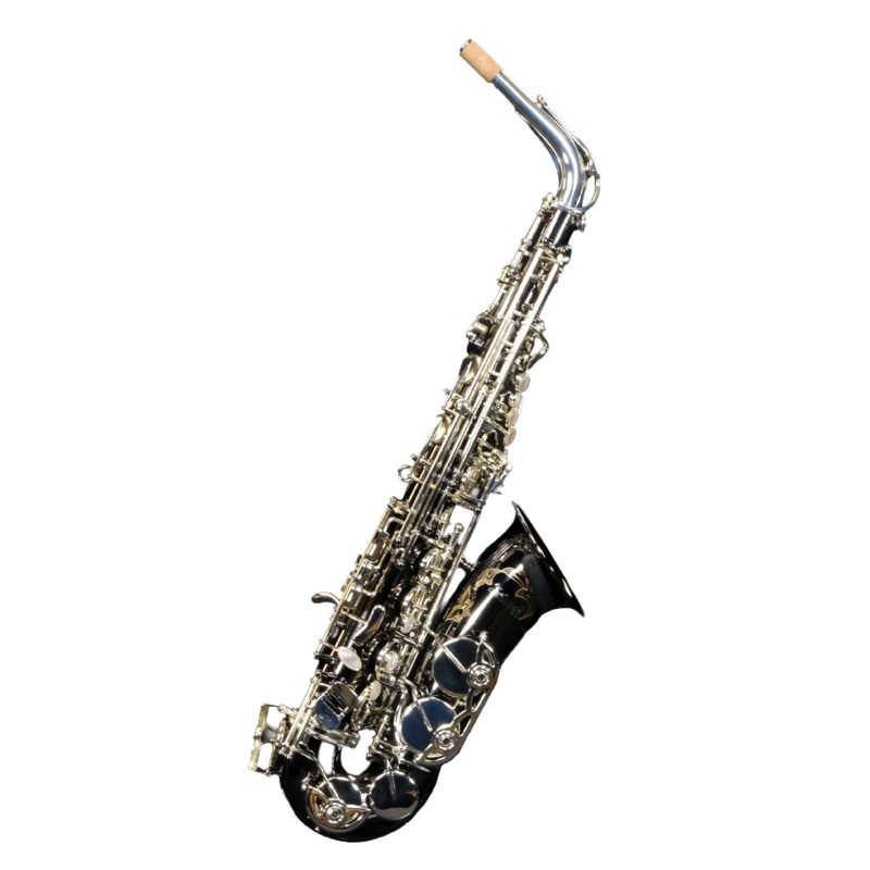 Selmer SAS711B Professional Alto Saxophone - Black Nickel