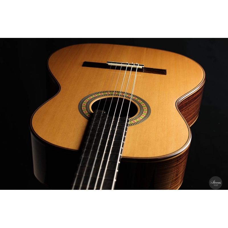 Steven Toon - 2024 - No. 118 DT - 64 cm