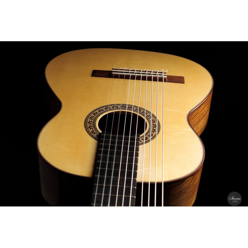 Heikki Rousu - 2025 No. 486 10-string