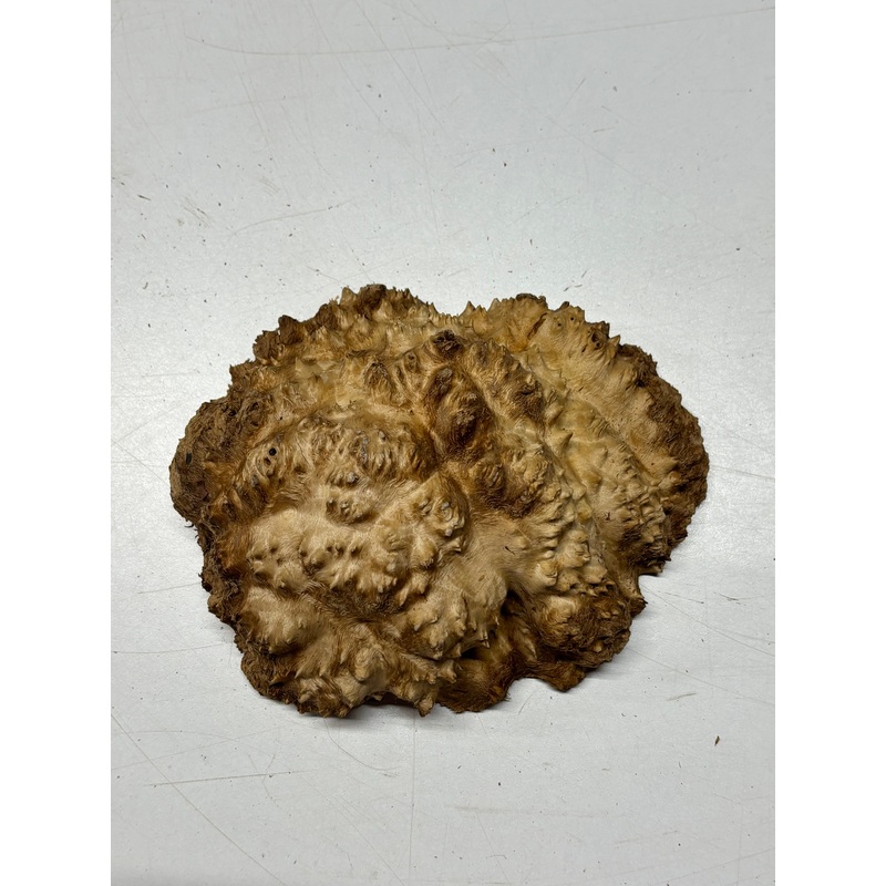 Brown Mallee Burl Cap 7" x 5" x 2" 1.7 Lbs #6136
