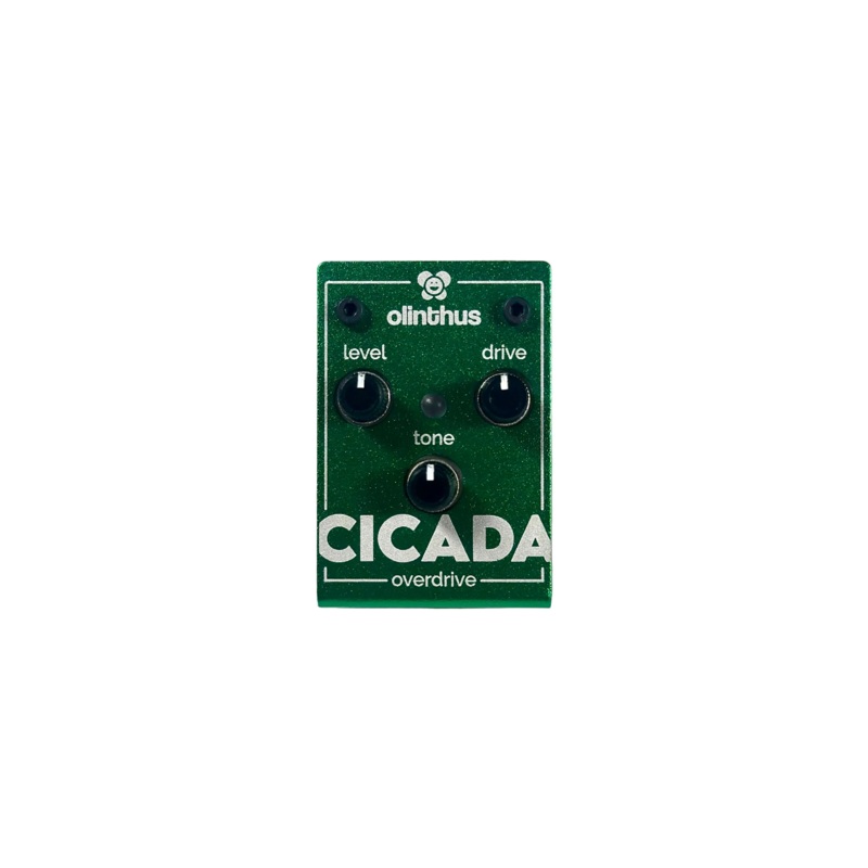 Olinthus Cicada Miniature Overdrive