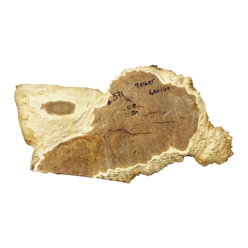 Brown Mallee Burl Slice 9" x 16" x 1" , 6.8 lbs | #571