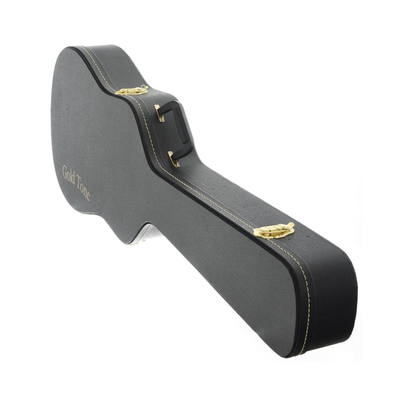 Gold Tone Weissenborn Case