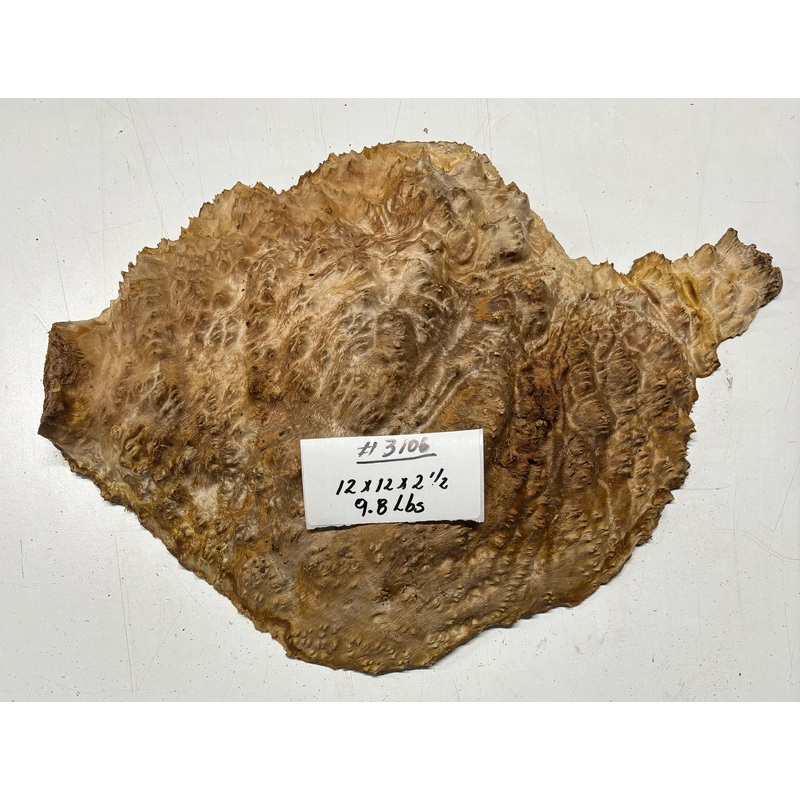 Red Mallee Burl Cap- 12" x 12" x 2-1/2" #3106