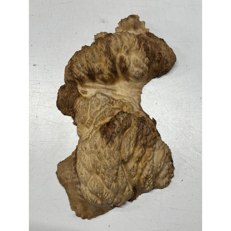 Brown Mallee Burl Cap 11" x 6" x 1.5" 2.4 Lbs #6181