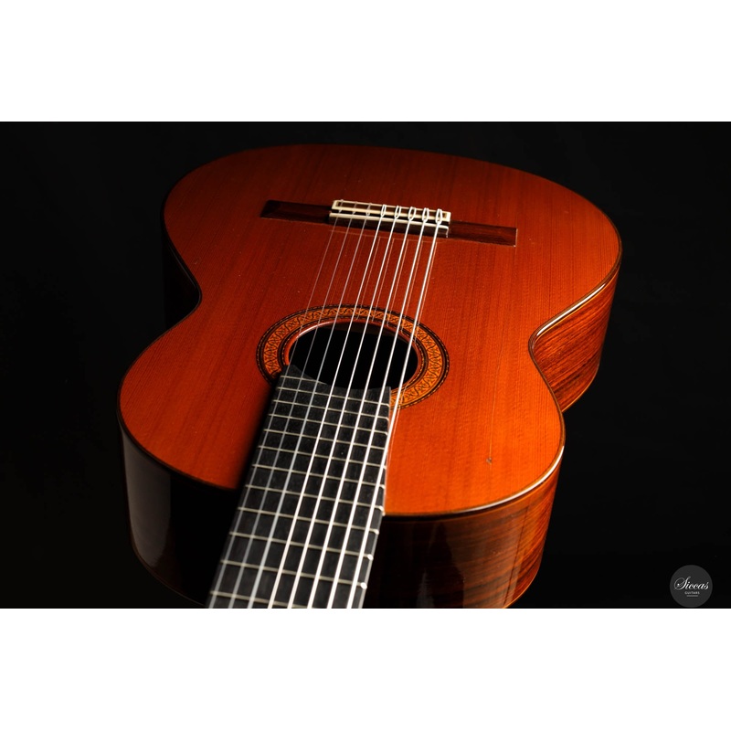 Jose Ramirez - 1976 - 1a No.10098 8-strings