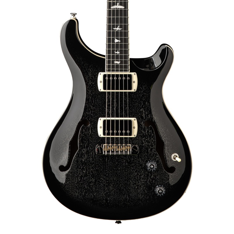 PRS SE Hollowbody Standard Dog Hair Smokeburst w/bag
