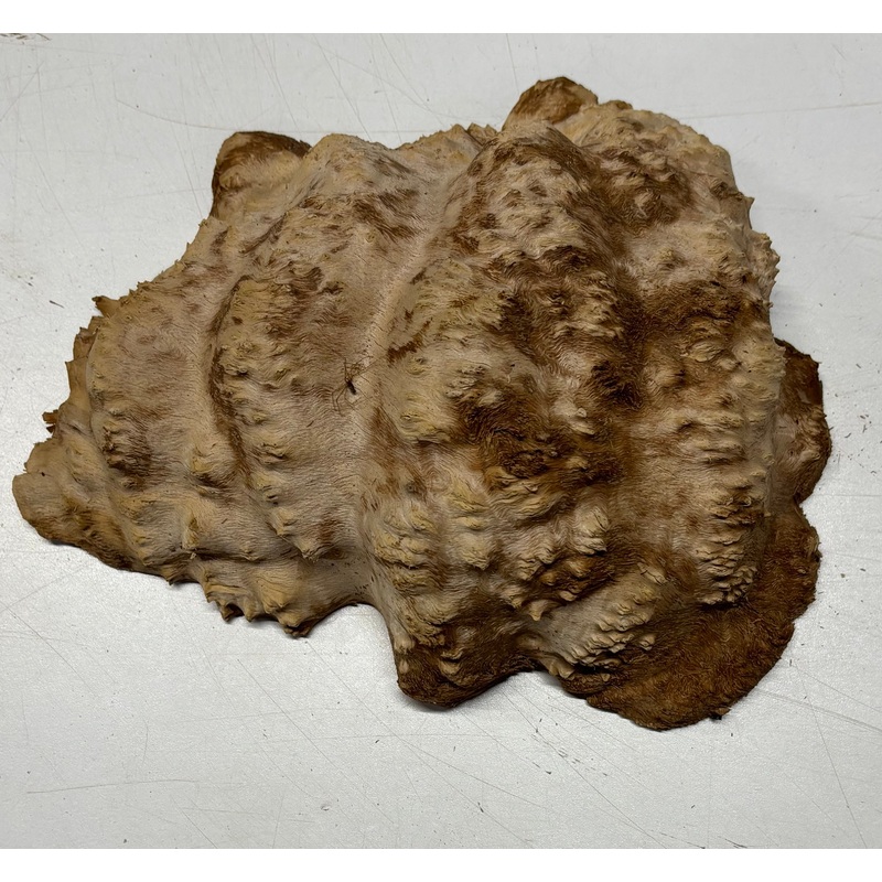 Brown Mallee Burl Cap 9" x 6.5" x 3" 3 Lbs #6047