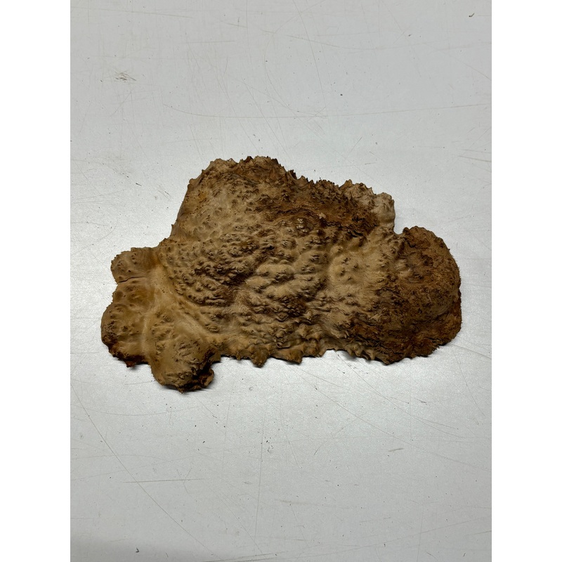 Brown Mallee Burl Cap 8" x 5" x 1" 1.7 Lbs #6291