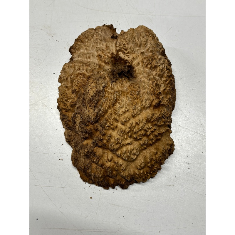 Brown Mallee Burl Cap 8.5" x 6" x 3" 3.2 Lbs #6082