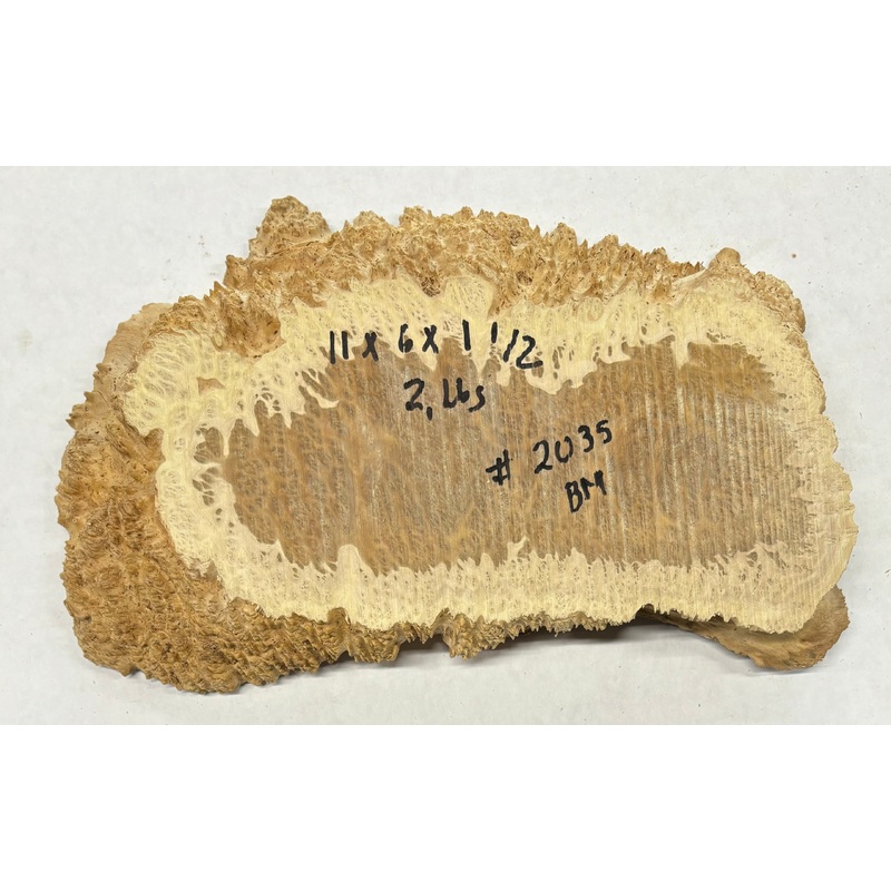 Brown Mallee Burl Slice 11" x 6" x 1-1/2" 2 Lbs | #2035
