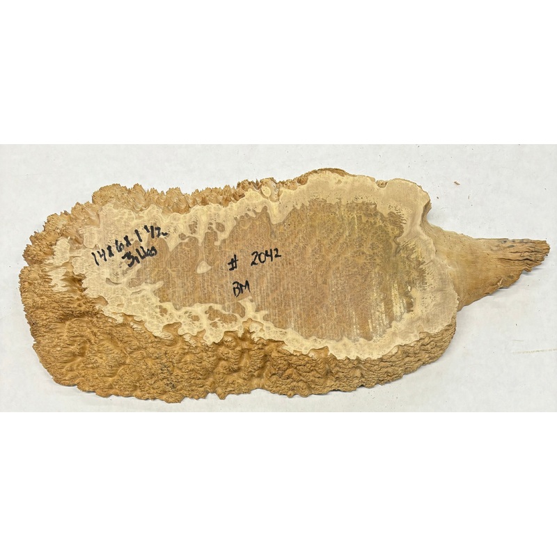 Brown Mallee Burl Slice 14" x 6" x 1-1/2" 3 Lbs | #2042
