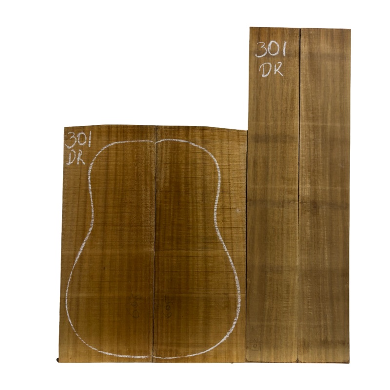 Pack of 10, Golden Acacia Acoustic Guitar Set