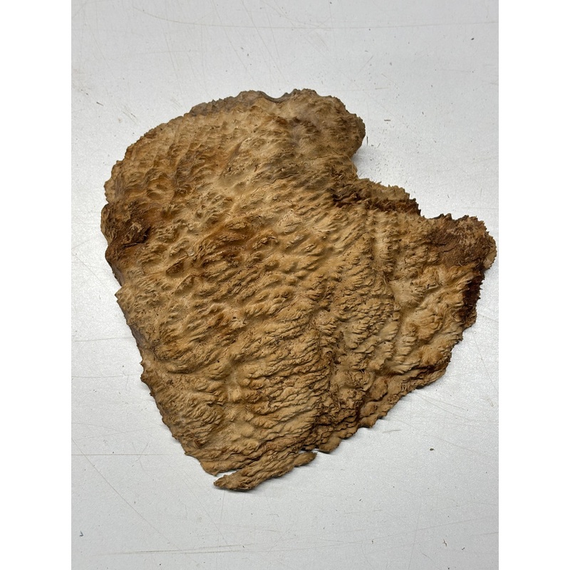 Brown Mallee Burl Cap 8" x 7" x 2" 3 Lbs #6267