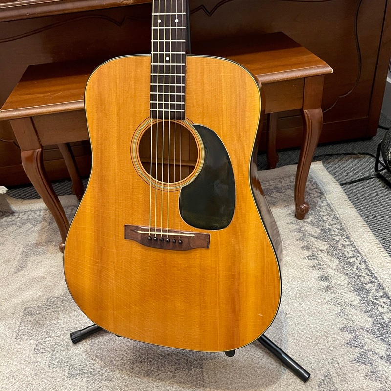 1975 Martin D-18 Acoustic