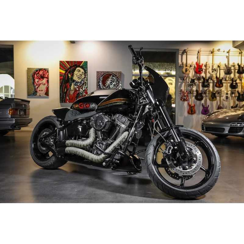 2016 Harley-Davidson Softtail Custom