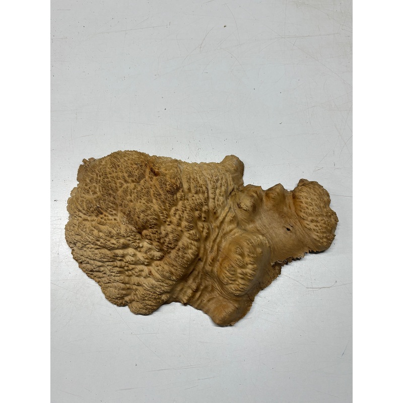 Brown Mallee Burl Cap 16" x 8" x 3" 8.5 Lbs #7073