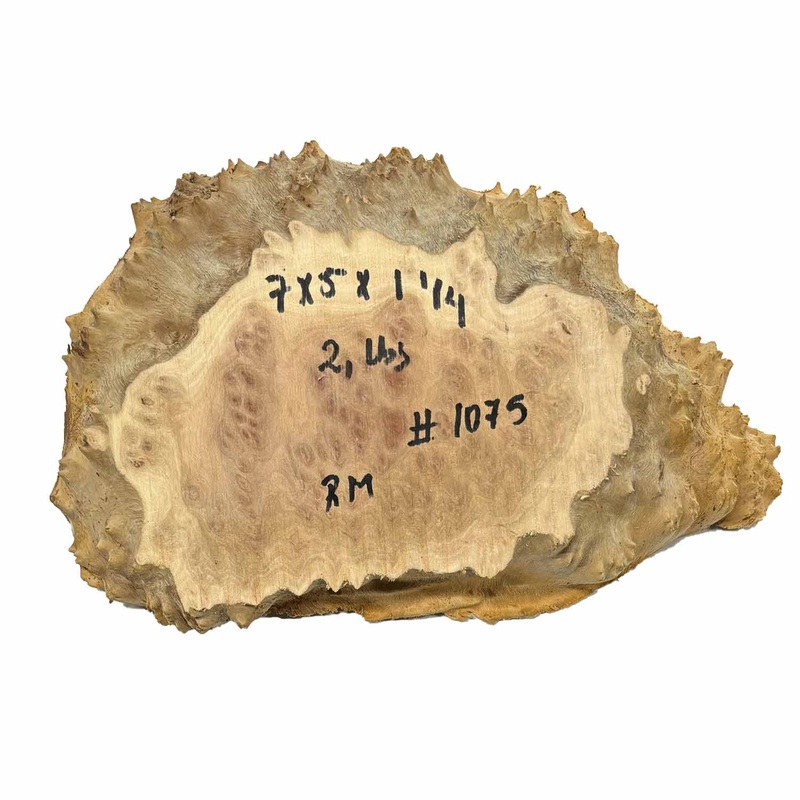 Red Mallee Burl Slice- 7" x 5" x 1-1/4" #1075