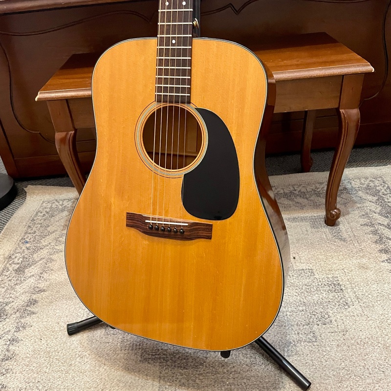 1978 Martin D-18 Acoustic