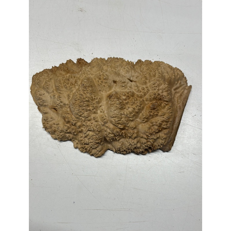 Brown Mallee Burl Cap 10.5" x 6.5" x 3" 2.8 Lbs #6403