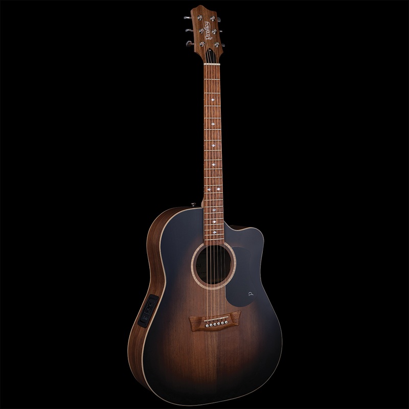Premier Dreadnought Blackwood Vintage Burst SCE