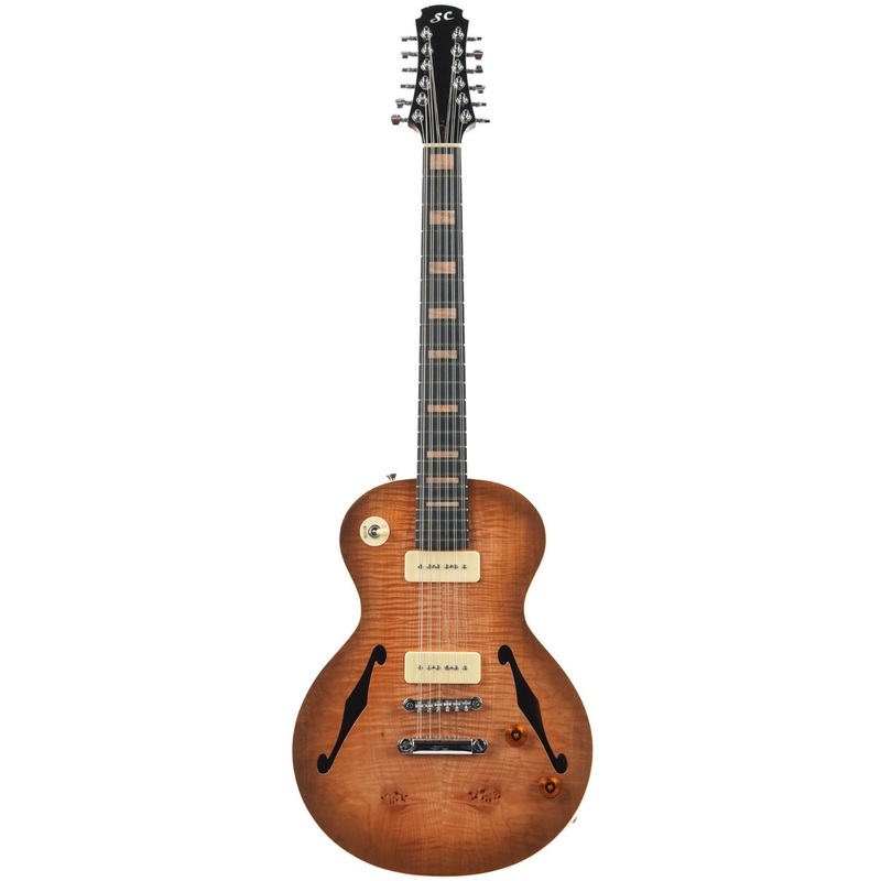 Stoney Creek Obsidian Semi Hollow 12 String 2020