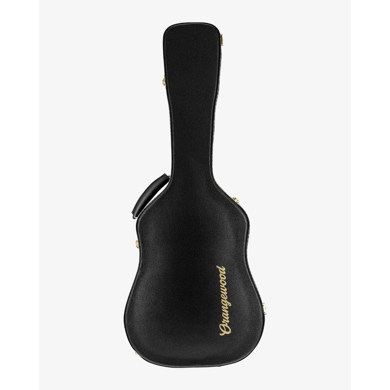 Acoustic Guitar Hard Case