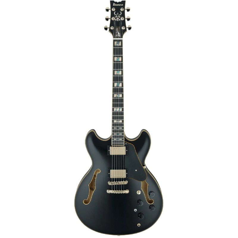 Ibanez JSM20BKL John Scofield Signature, Black Low Gloss, Ebony FB