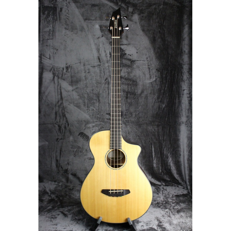 Breedlove Pursuit Acoustic Bass