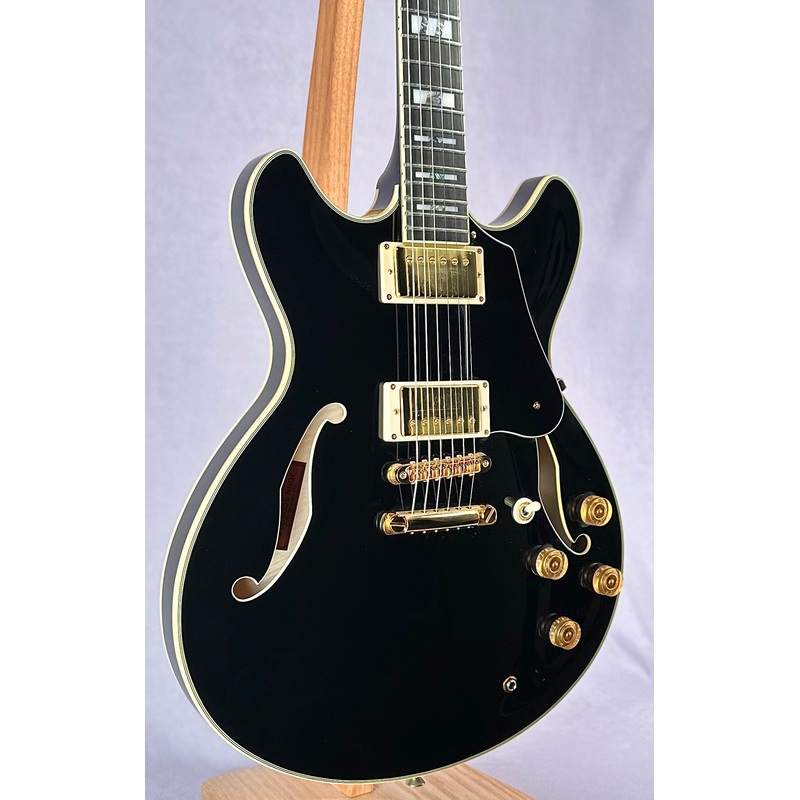 Ibanez John Scofield 20th Anniversary
