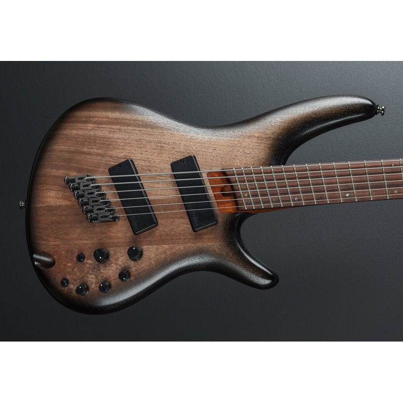 SRC6MS Bass - Black Stained Burst Low Gloss