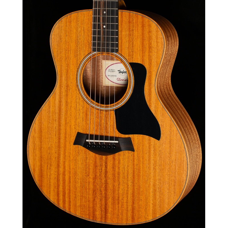 Taylor GS Mini E Mahogany (362)