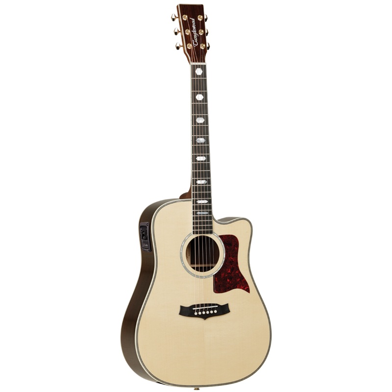 Tanglewood TW1000HSRCE Heritage Dreadnought C/E with ABS Case