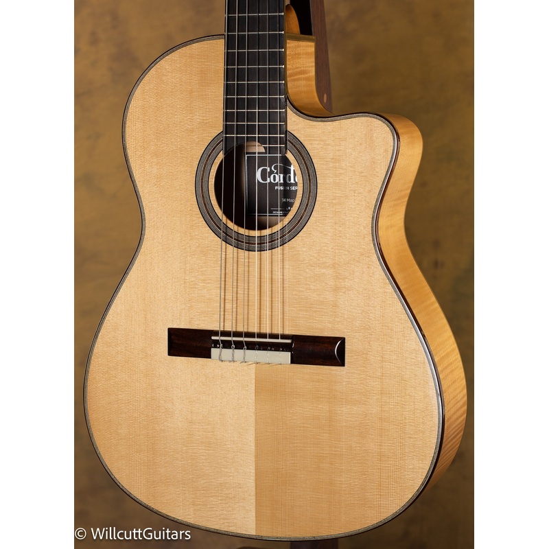 Cordoba Fusion 14 Maple w/ Gigbag