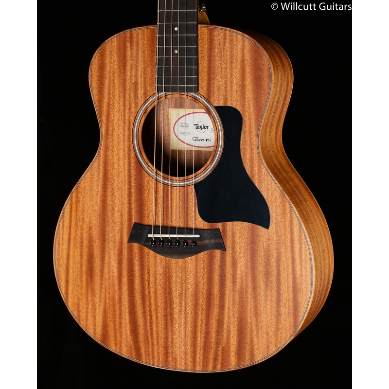 Taylor GS Mini Mahogany (301)