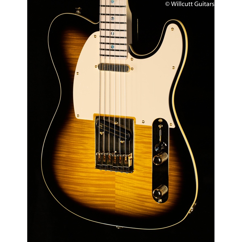 Fender Richie Kotzen Telecaster Brown Sunburst (147)