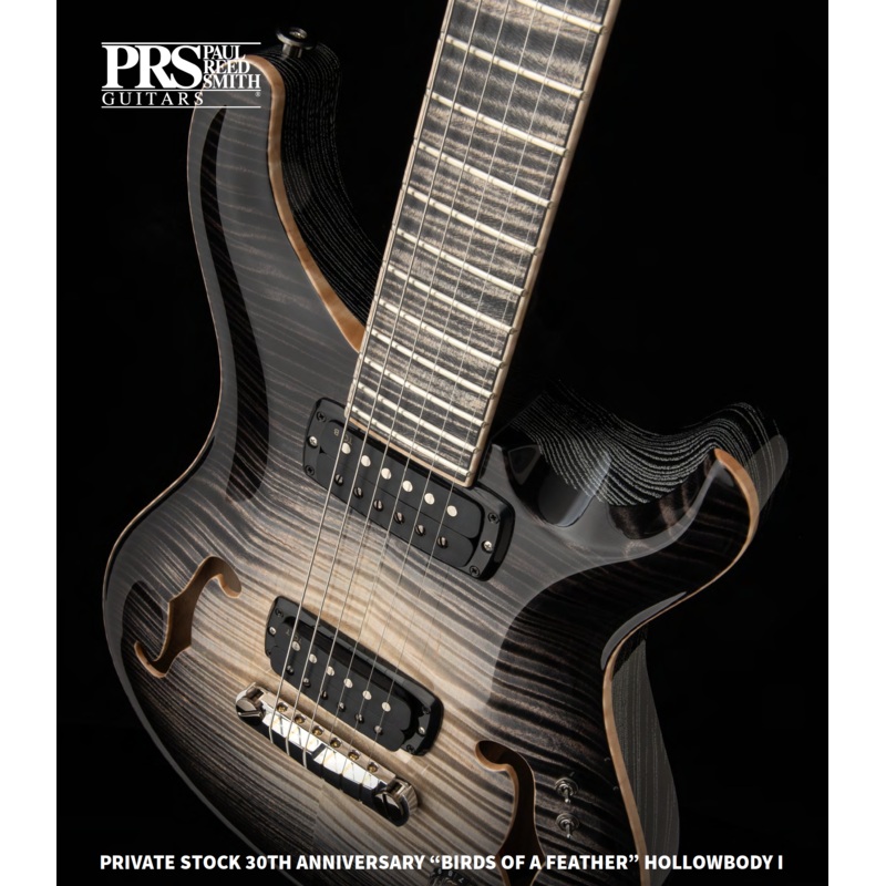 PRS Private Stock 30th Anniversary BIRDS OF A FEATHER Hollowbody