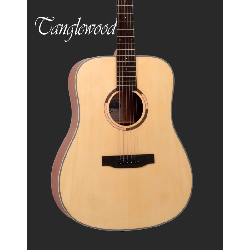 Tanglewood TS5 Acoustic