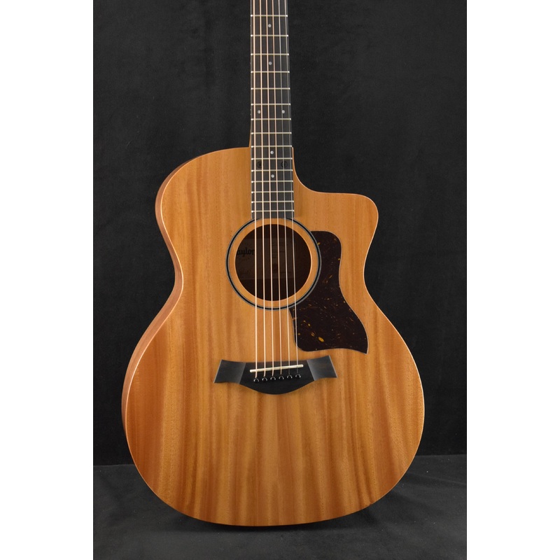 Taylor 24ce Mahogany Top Natural